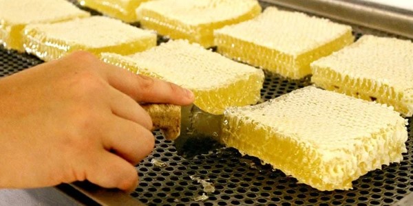 تصویر 4 از خرید و قیمت عسل موم دار طبیعی + فروش صادراتی